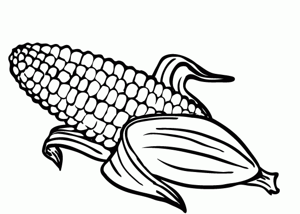 Corn coloring #20, Download drawings