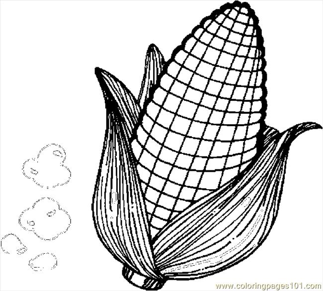 Corn coloring #3, Download drawings