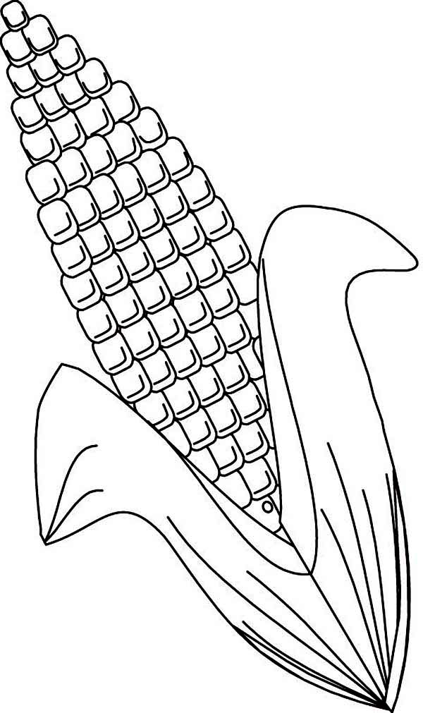 Corn coloring #11, Download drawings