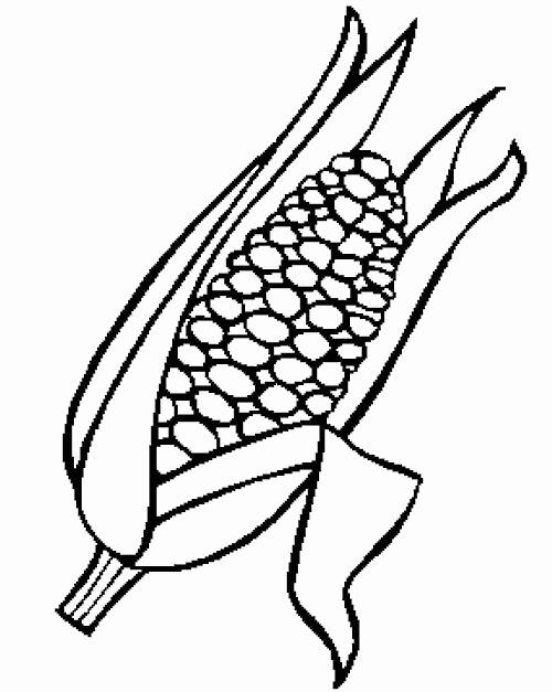 Corn coloring #18, Download drawings