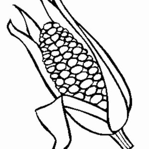 Corn coloring #1, Download drawings