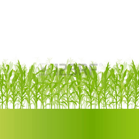 Cornfield clipart #16, Download drawings