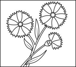 Cornflower coloring #18, Download drawings