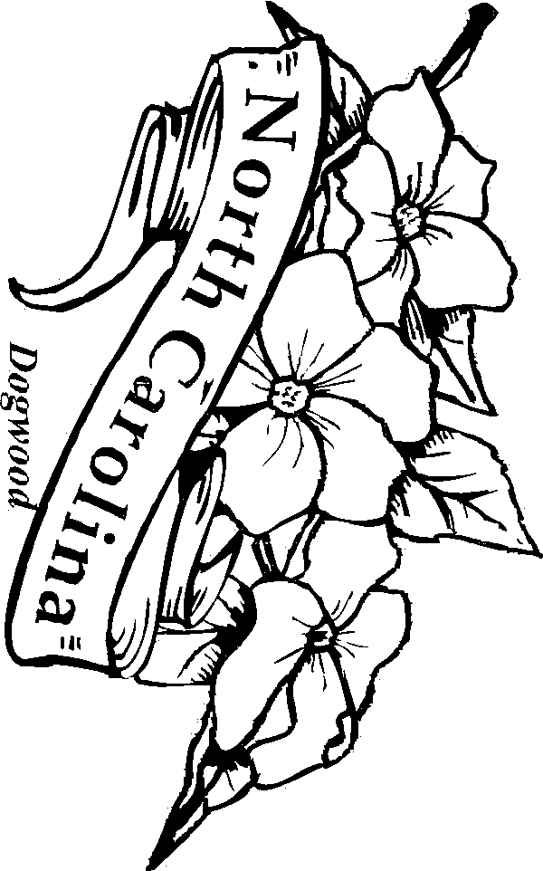 Cornus Blossom coloring #4, Download drawings