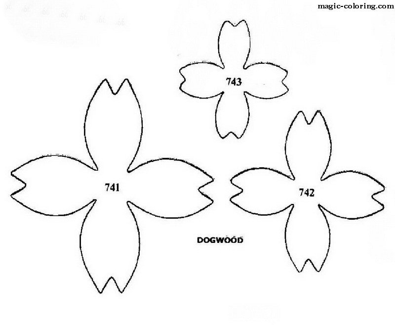 Cornus Blossom coloring #19, Download drawings