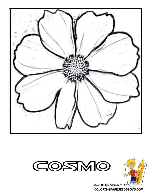 Cosmos coloring #12, Download drawings