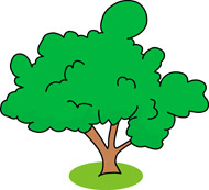 Cottonwood Trees clipart #18, Download drawings
