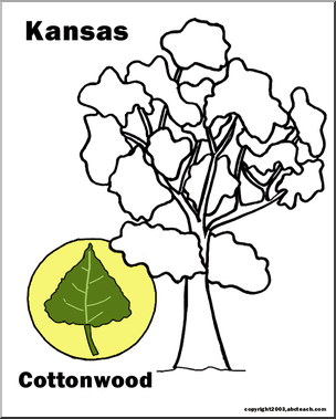 Cottonwood Trees coloring #2, Download drawings