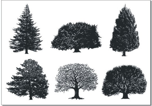Cottonwood Trees svg #11, Download drawings