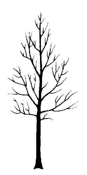 Cottonwood Trees svg #19, Download drawings