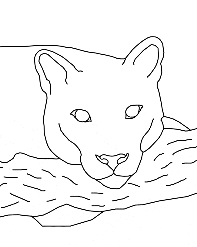 Cougar coloring #15, Download drawings