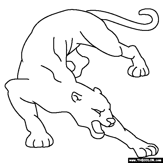 Cougar coloring #1, Download drawings