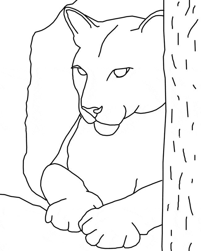 Cougar coloring #7, Download drawings