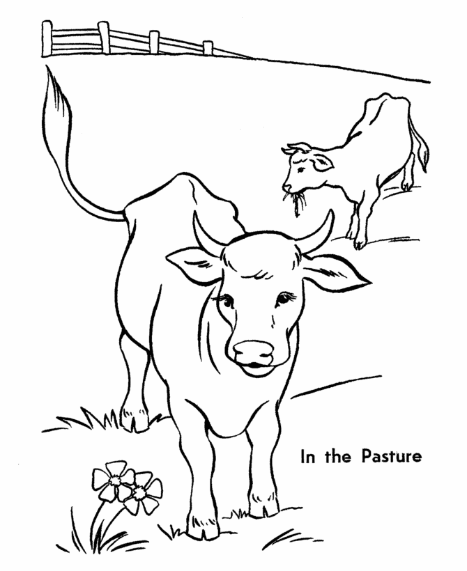 Cow coloring #5, Download drawings