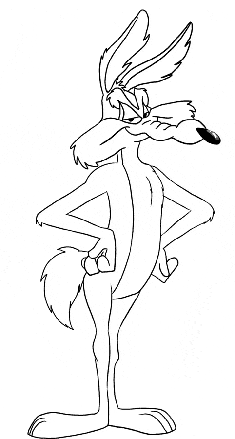 Coyote coloring #5, Download drawings