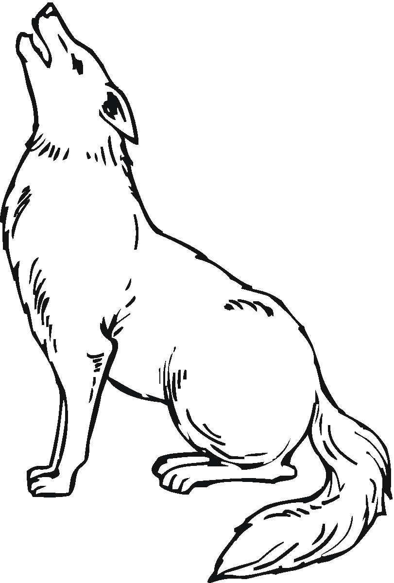 Coyote coloring #19, Download drawings