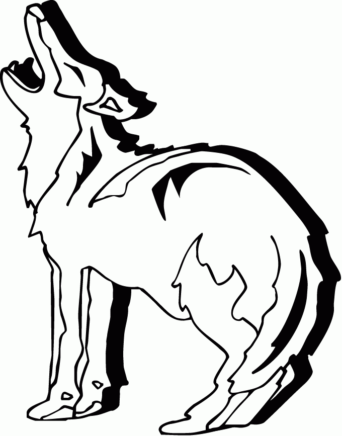 Coyote coloring #2, Download drawings