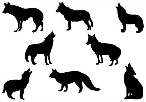 Coyote svg #13, Download drawings