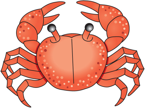 Crab clipart #9, Download drawings