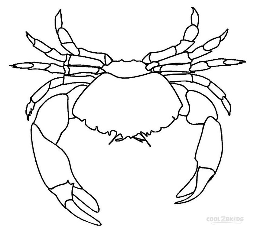 Crab Spider coloring #17, Download drawings