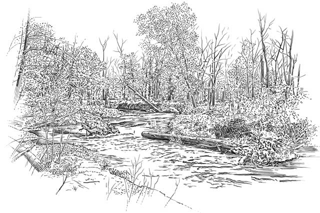 Creek coloring #11, Download drawings