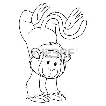 Macaque coloring #11, Download drawings