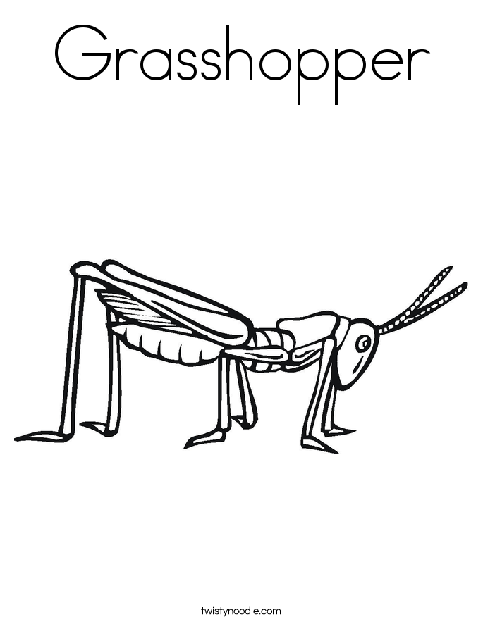 Grasshopper coloring #16, Download drawings
