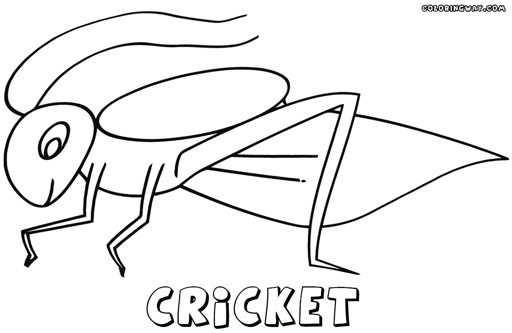 Cricket coloring #18, Download drawings
