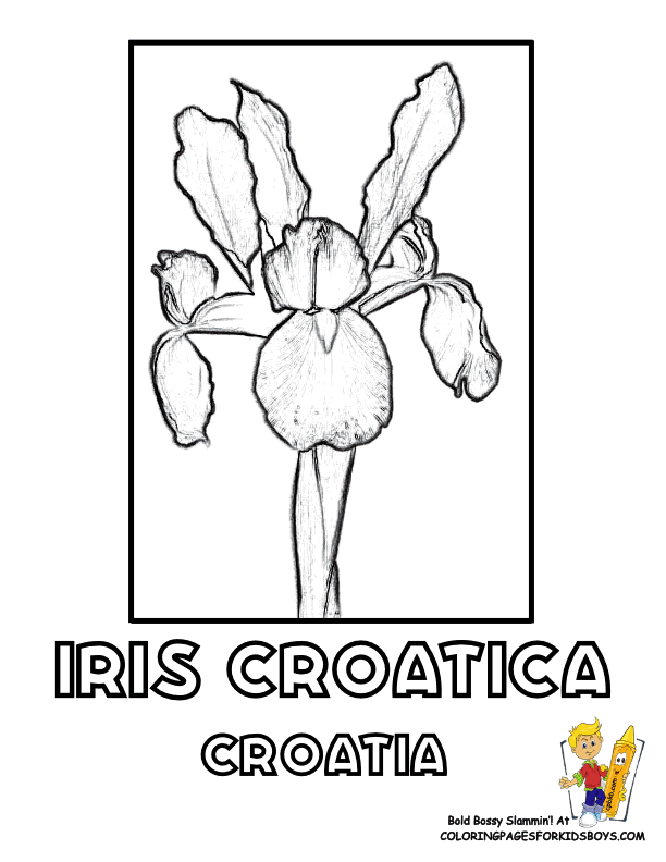 Croatia coloring #6, Download drawings