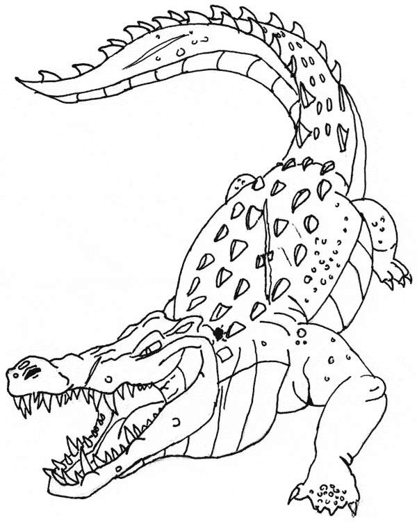 Crocodile coloring #9, Download drawings