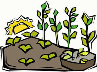 Crops clipart #2, Download drawings