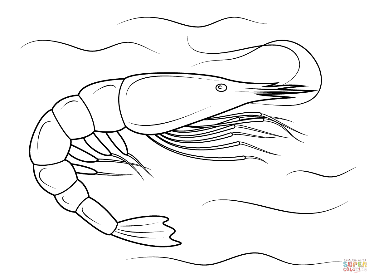 Shrimp coloring #18, Download drawings