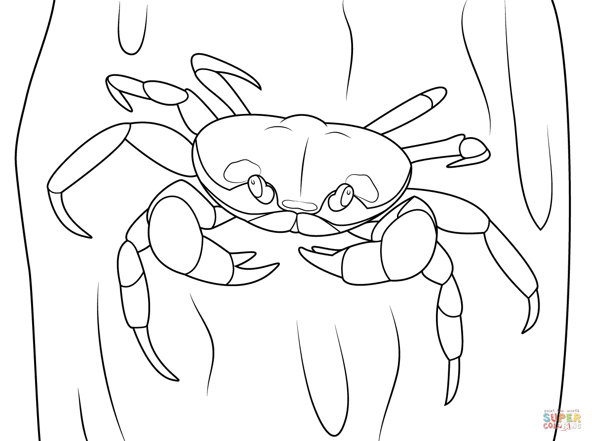 Crustacean coloring #17, Download drawings