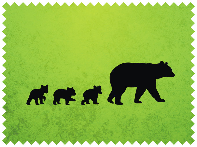 Grizzly Cubs svg #17, Download drawings