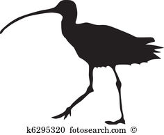 Curlew clipart #6, Download drawings