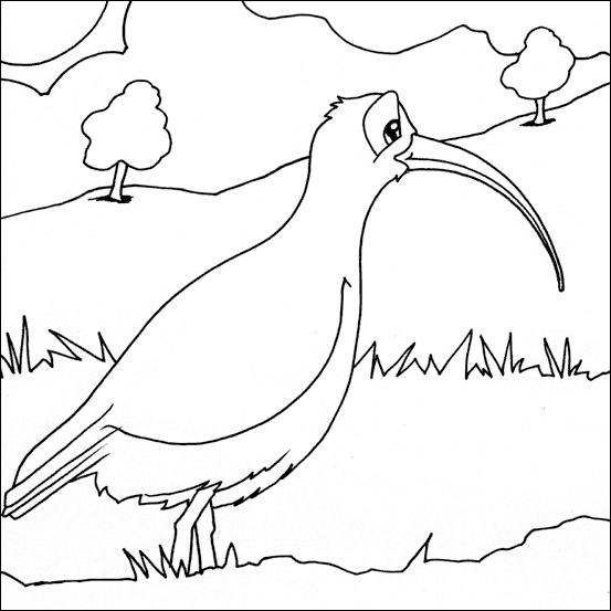 Curlew coloring #5, Download drawings