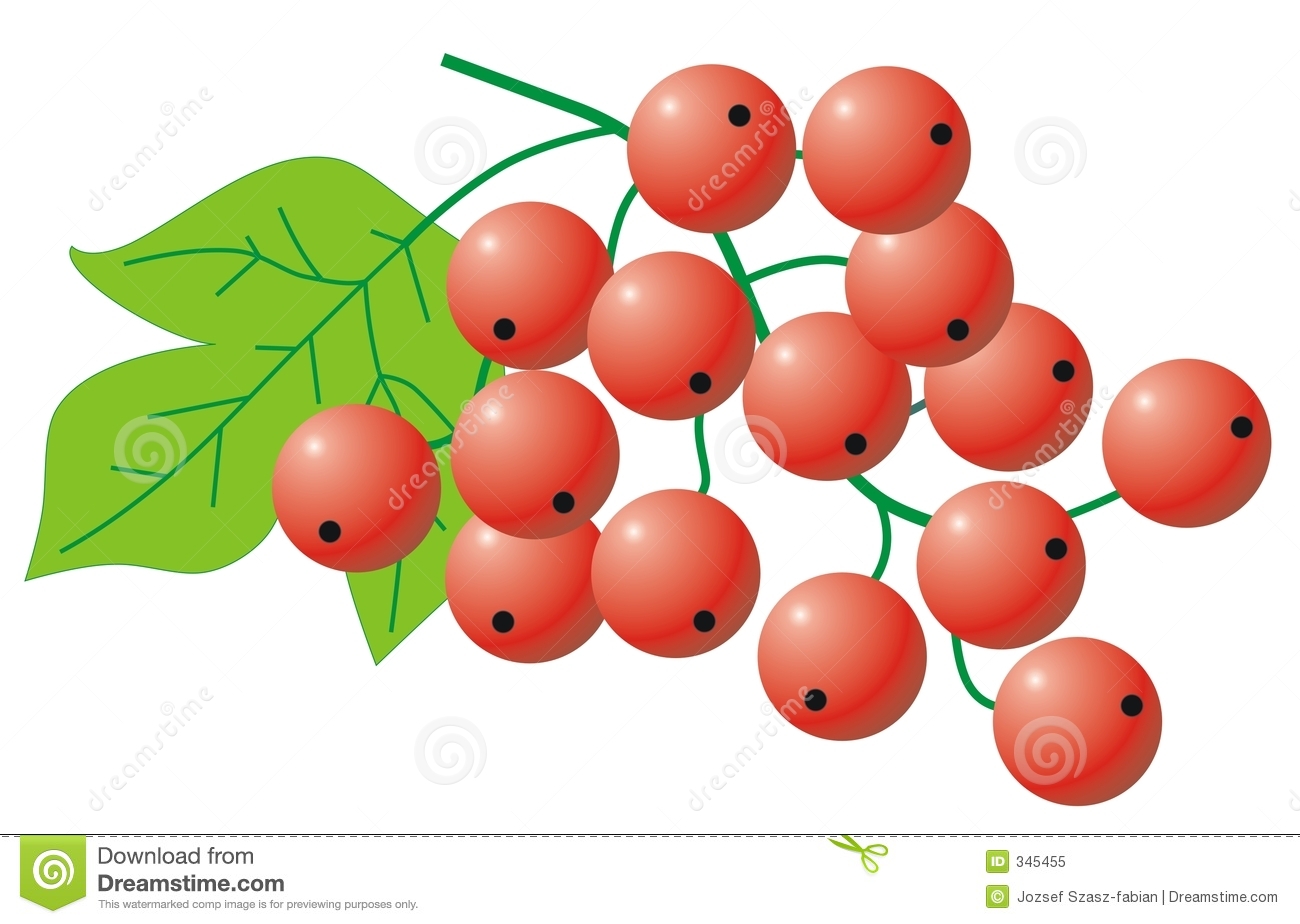 Currants clipart #9, Download drawings