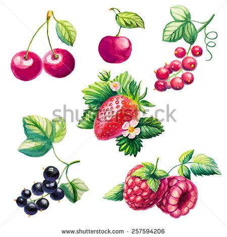 Currants svg #9, Download drawings