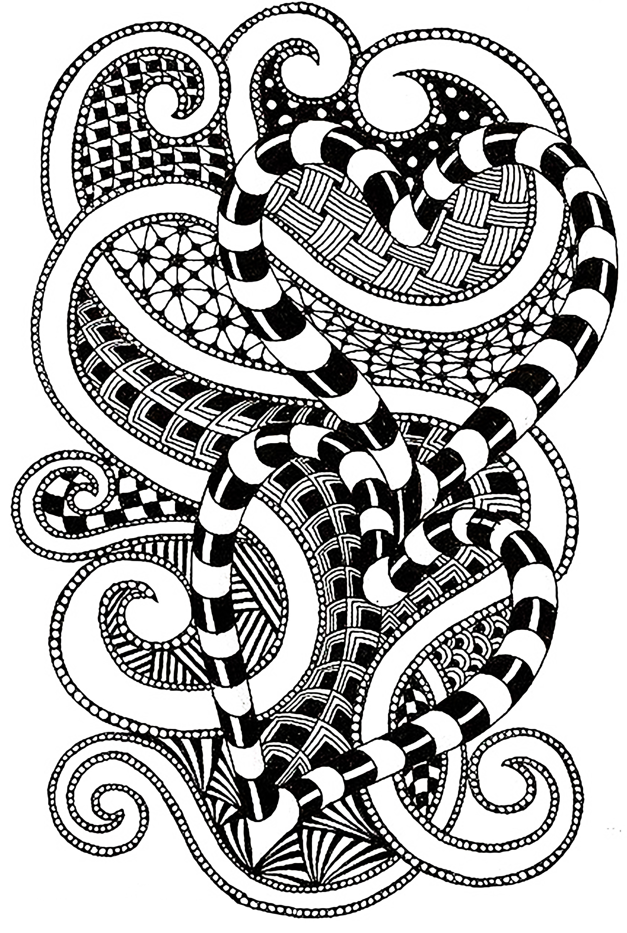 Curves coloring #2, Download drawings