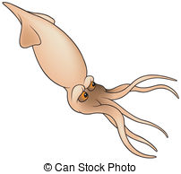 Cuttlefish clipart #20, Download drawings