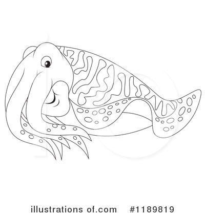 Cuttlefish clipart #19, Download drawings