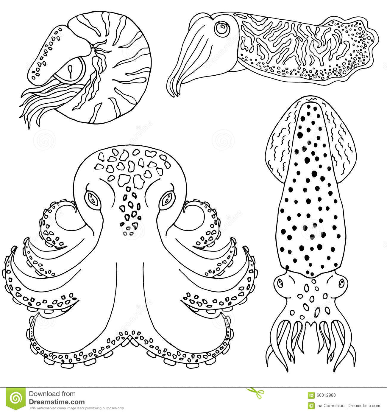 Cuttlefish coloring #6, Download drawings