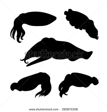 Cuttlefish svg #17, Download drawings