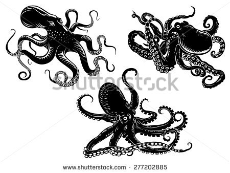 Cuttlefish svg #2, Download drawings