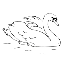 Swan coloring #19, Download drawings