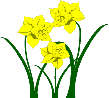 Daffodil clipart #8, Download drawings