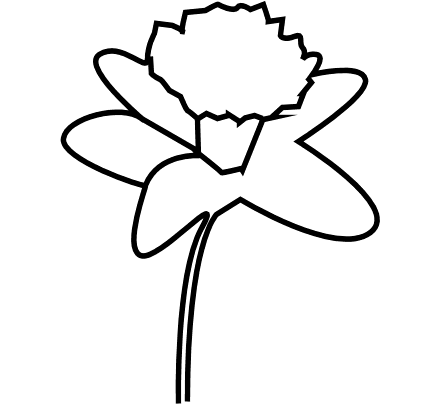 Daffodil clipart #17, Download drawings