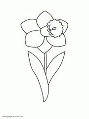 Daffodil coloring #14, Download drawings
