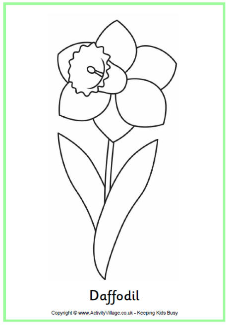 Daffodil coloring #20, Download drawings