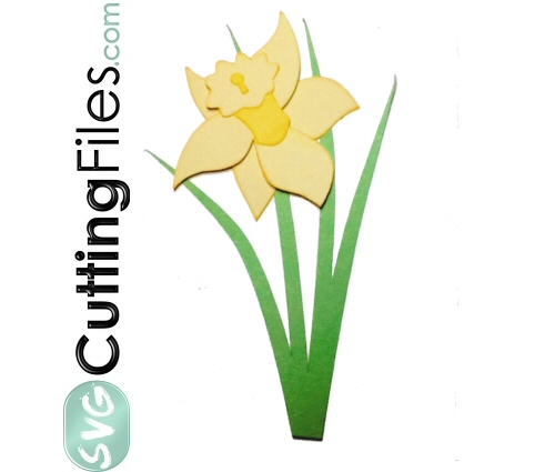 Daffodil svg #19, Download drawings